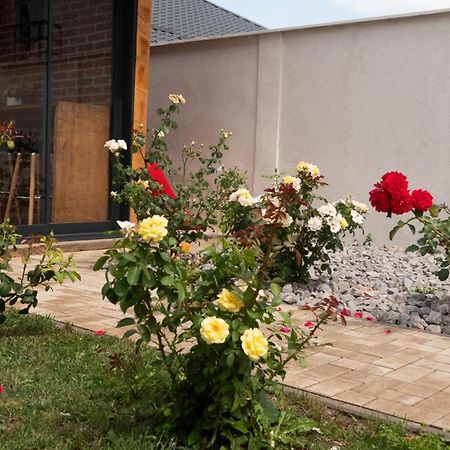 Casa Lucan Μπρασόβ Εξωτερικό φωτογραφία
